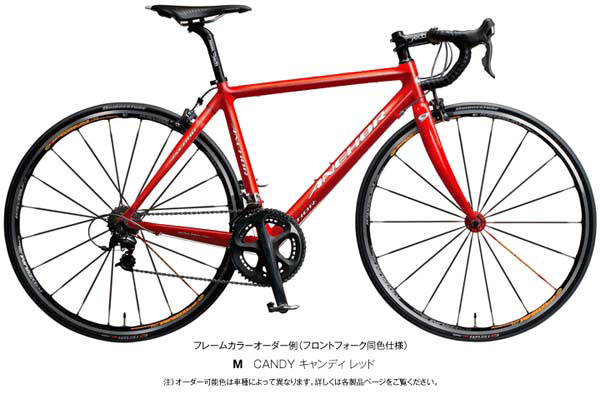 2011年 Anchor Roadbike アンカー ロードバイク ロードレーサー RCS6